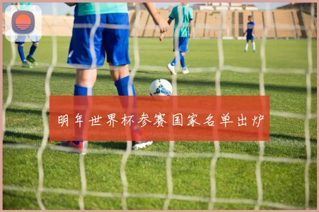 明年世界杯参赛国家名单出炉