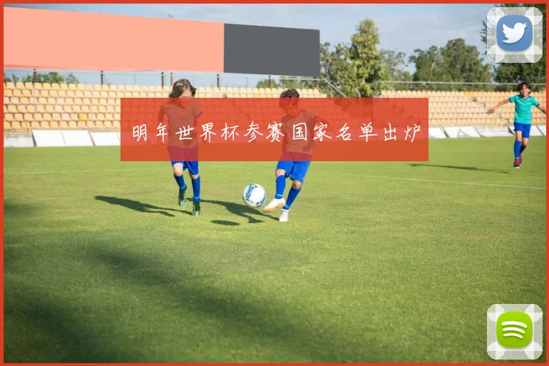 明年世界杯参赛国家名单出炉