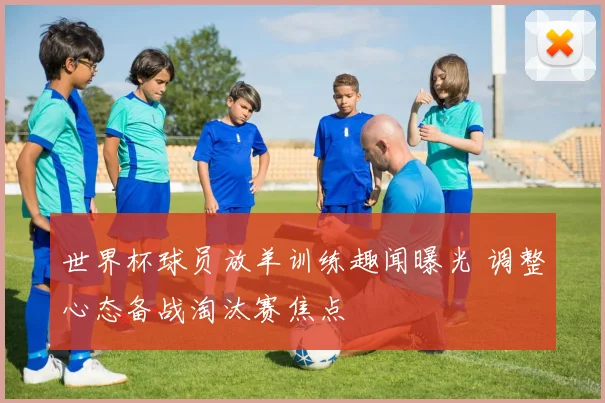 世界杯球员放羊训练趣闻曝光 调整心态备战淘汰赛焦点