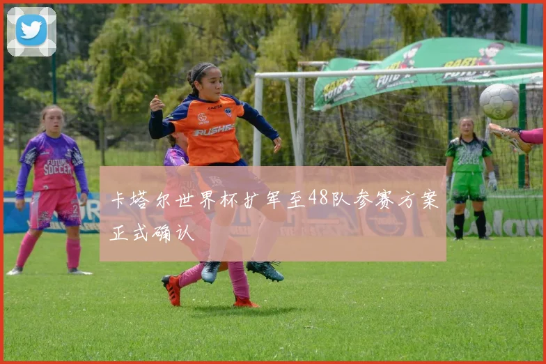 卡塔尔世界杯扩军至48队参赛方案正式确认