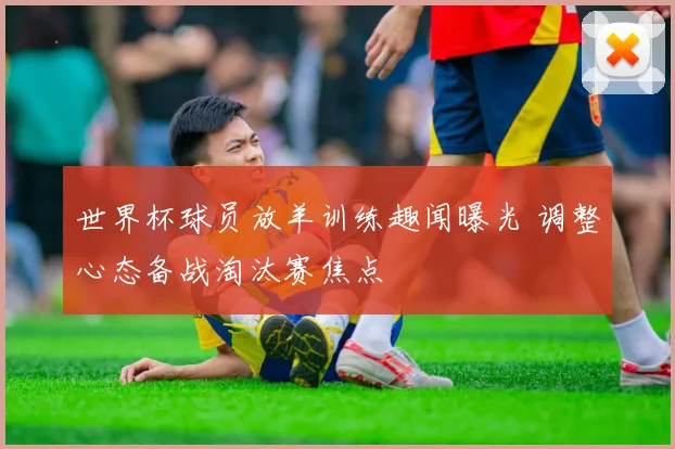 世界杯球员放羊训练趣闻曝光 调整心态备战淘汰赛焦点