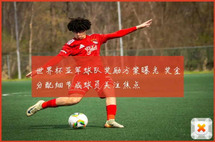世界杯亚军球队奖励方案曝光 奖金分配细节成球员关注焦点