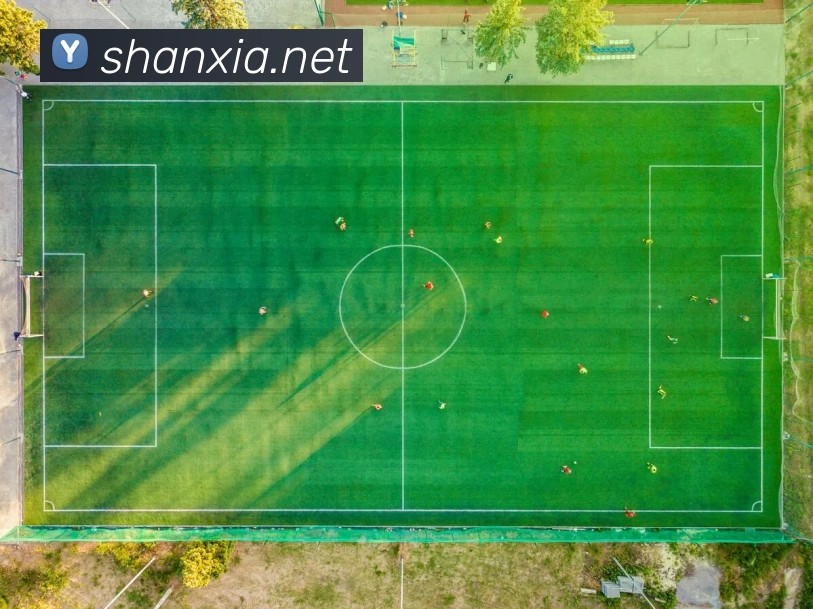 体育赛事